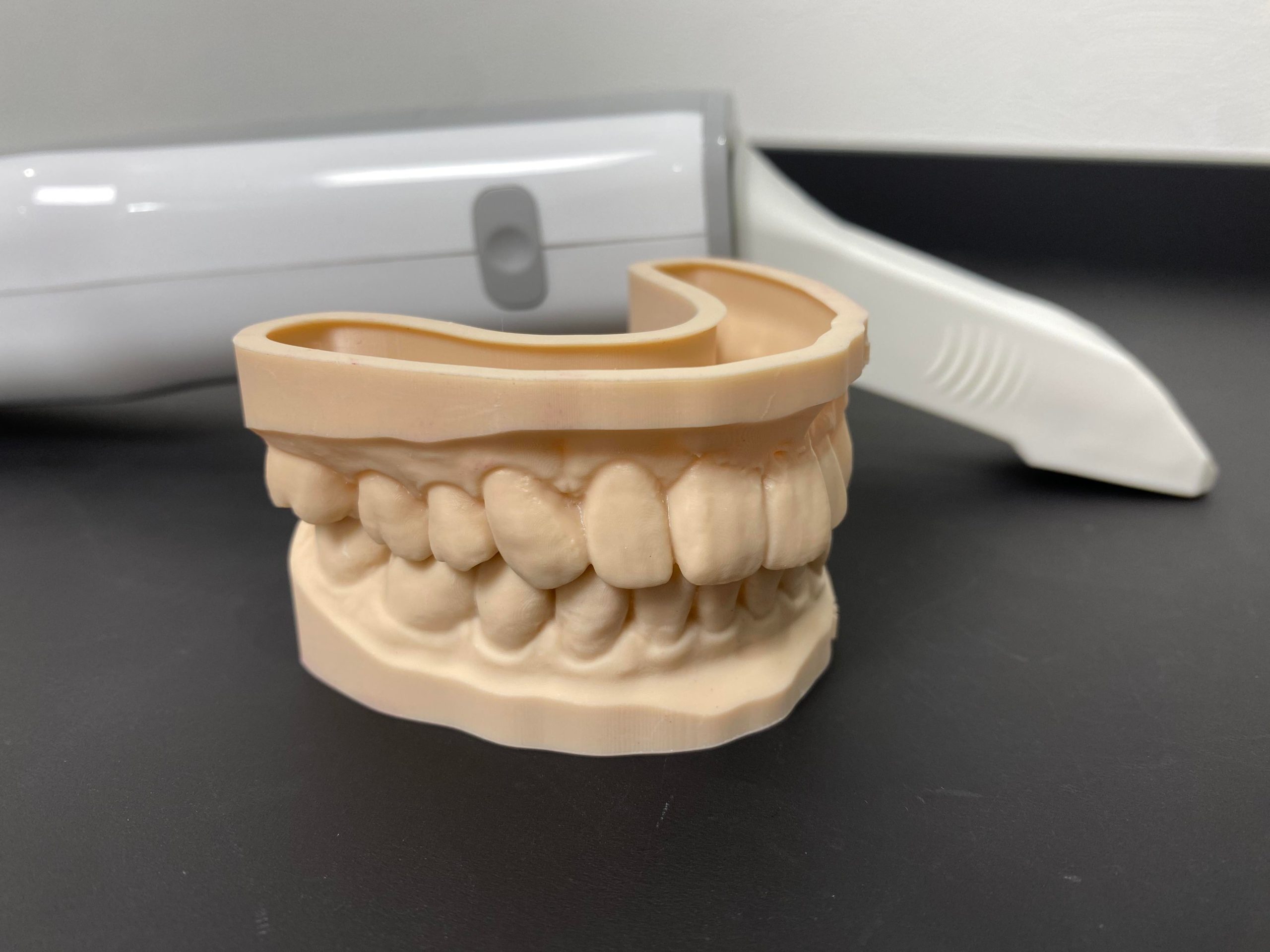 診断用義歯模型